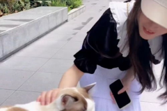 小姐姐养猫子,小姐姐的温馨养宠日常